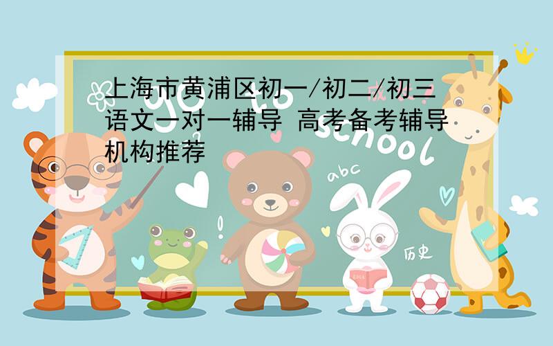 上海市黄浦区初一/初二/初三语文一对一辅导 高考备考辅导机构推荐
