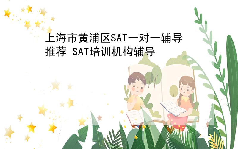 上海市黄浦区SAT一对一辅导推荐 SAT培训机构辅导