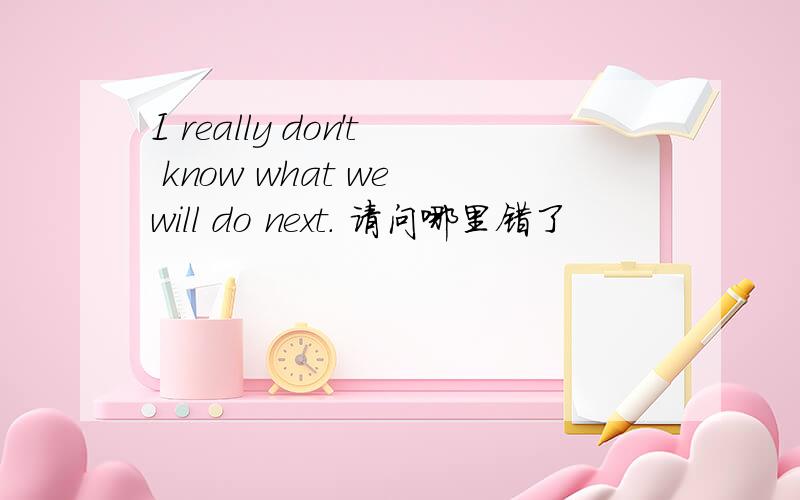 I really don't know what we will do next. 请问哪里错了